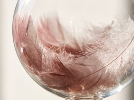 Plumas suaves dentro de un globo burbuja transparente